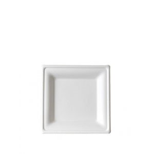 Small Square Sugarcane  Plate