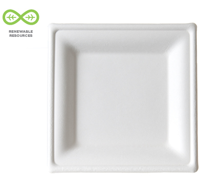 Square Sugarcane Plates